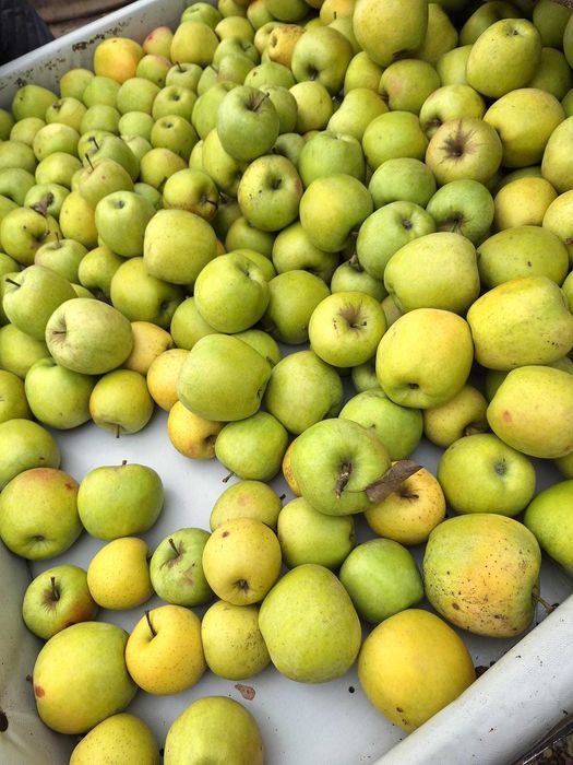 Mere de consum sau pentru programul scolar