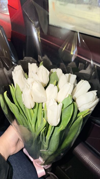 Астана 25 шт тюльпан