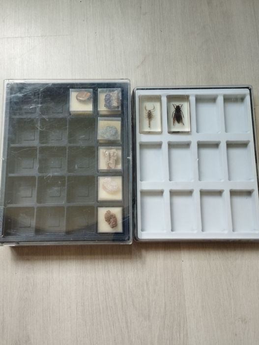 Колекции камани и насекоми