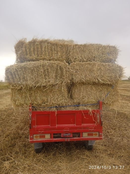 Хамкор мотсакил сотилади нархи 22 млн манзил хоразм вилойати