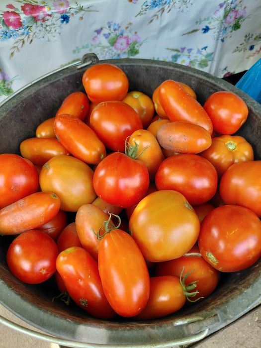 Продам помидоры дачные