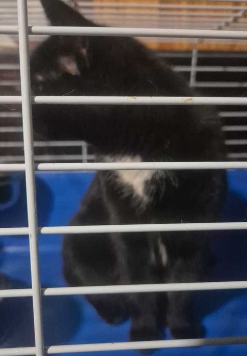 По дороге к счастью - девочка Юша