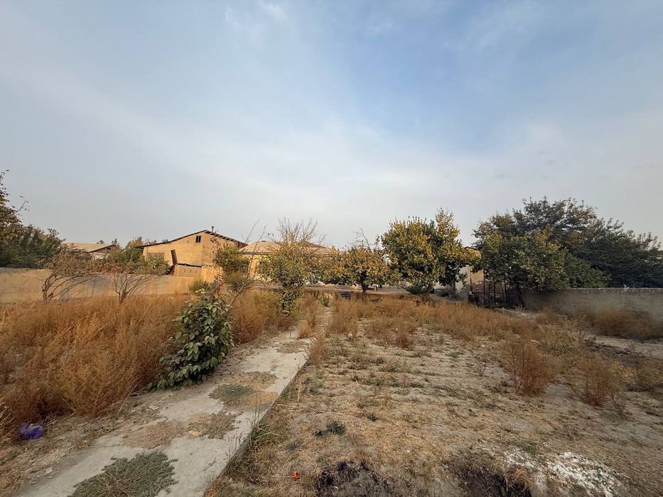 Uchastka sotiladi Samarqand Oqdaryo Dahbed sentiridan 1 sutixi 5.000$