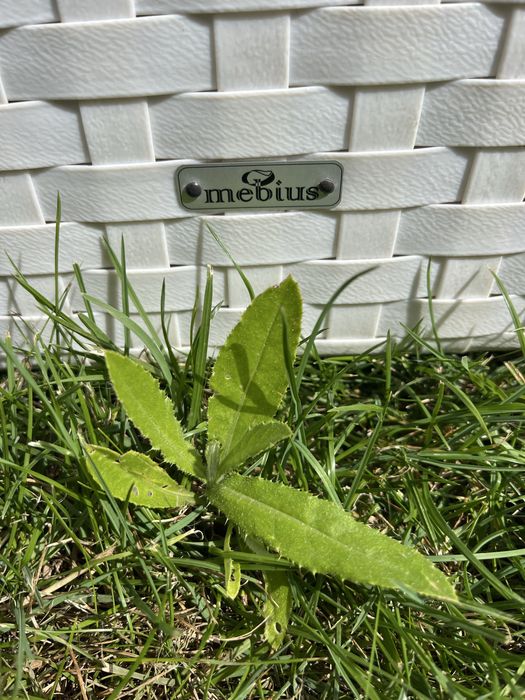 Диван ротанговый офисная,для террассы, летников, бани.