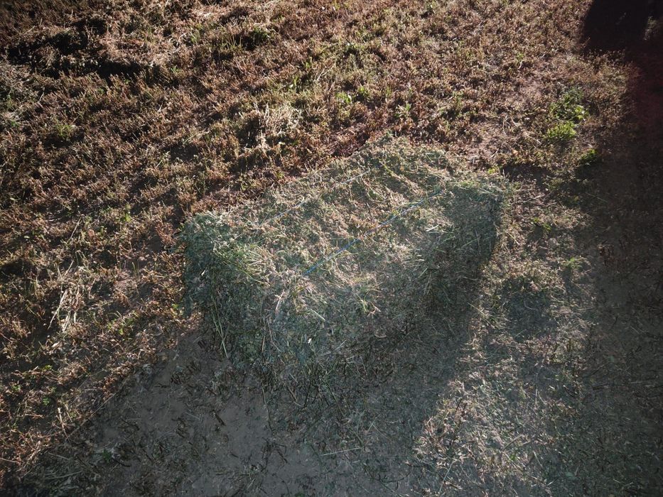 Baloti lucerna calitatea I