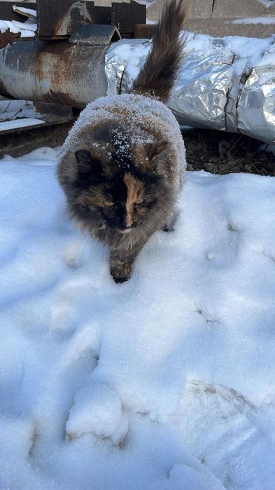 Малышка ищет дом