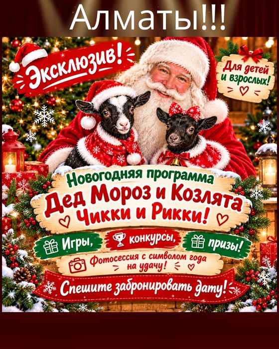 Дед мороз, программа, новый год, корпоратив