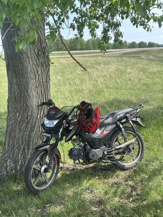 Альфа чамп рс 12