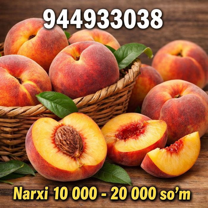 Shaftoli ko'chatlari