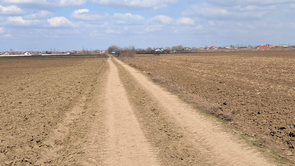 Vand loturi pentru gradina aproape de Vânători