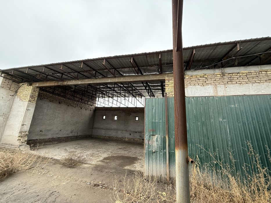 Urganch uy joy sotikadi yoki arendaga kelishsak arenda ham beramz