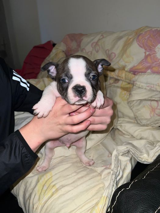 Търсим си любящи семейства