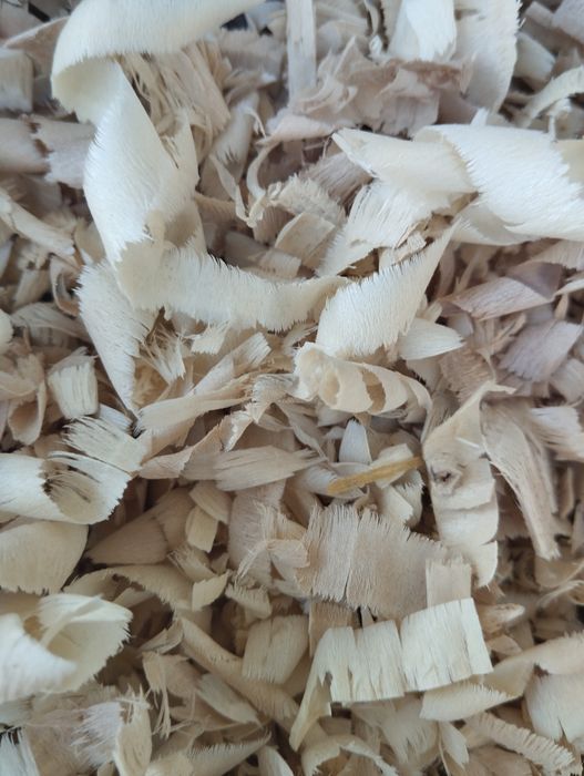 Апилка мол куй ва паррандалар учун