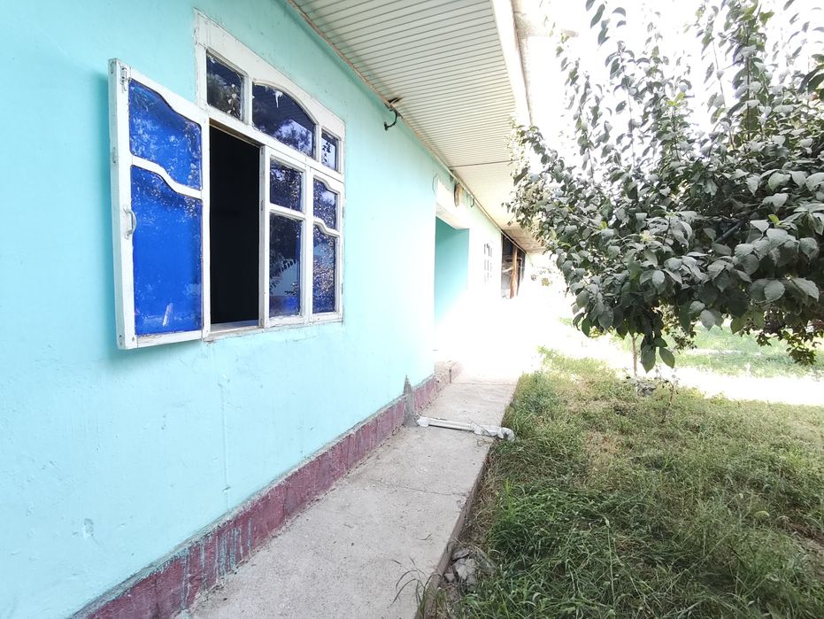 Zamonaviy kotej sotiladi