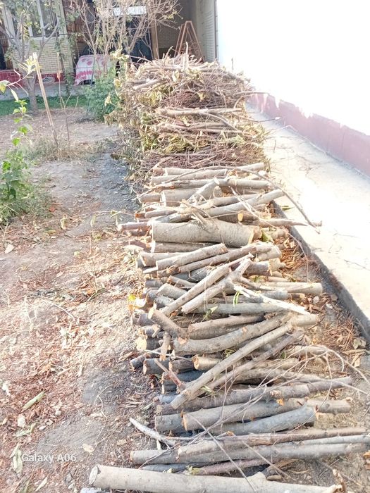 Утин мевали дарахтники