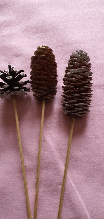 Шишки   натуральные  для декора