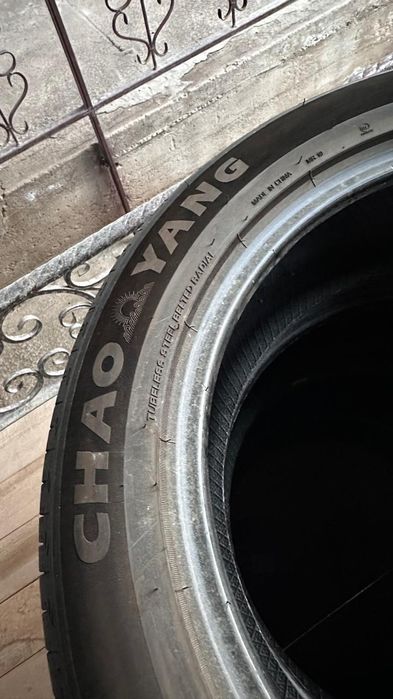 Шина летняя 225/55/R19