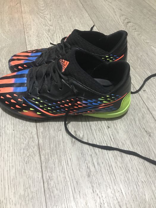 Сороконожки как новые