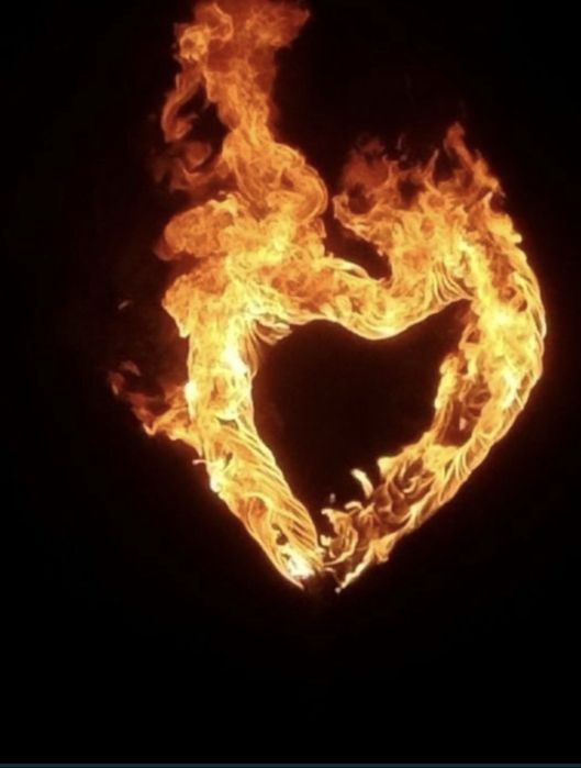 Прокат машал prokat mashal 24/7