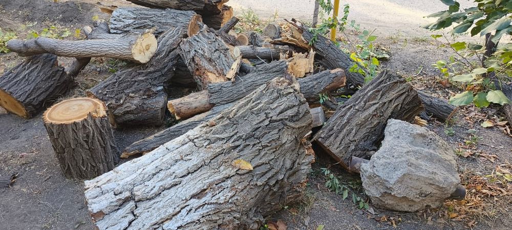 Дрова бесплатно даром