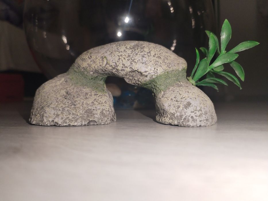 Acvariu pești beta cu accesorii.