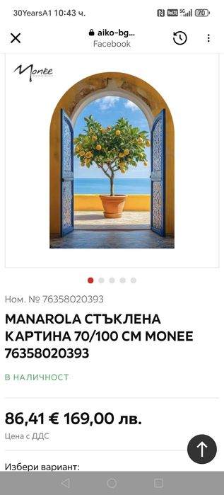 Голяма стъклена картина 70/100 см