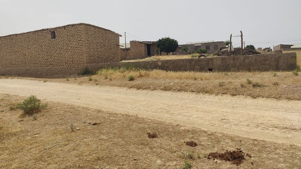 Yangioboddan 48 so'tix bo'sh yer maydoni sotiladi