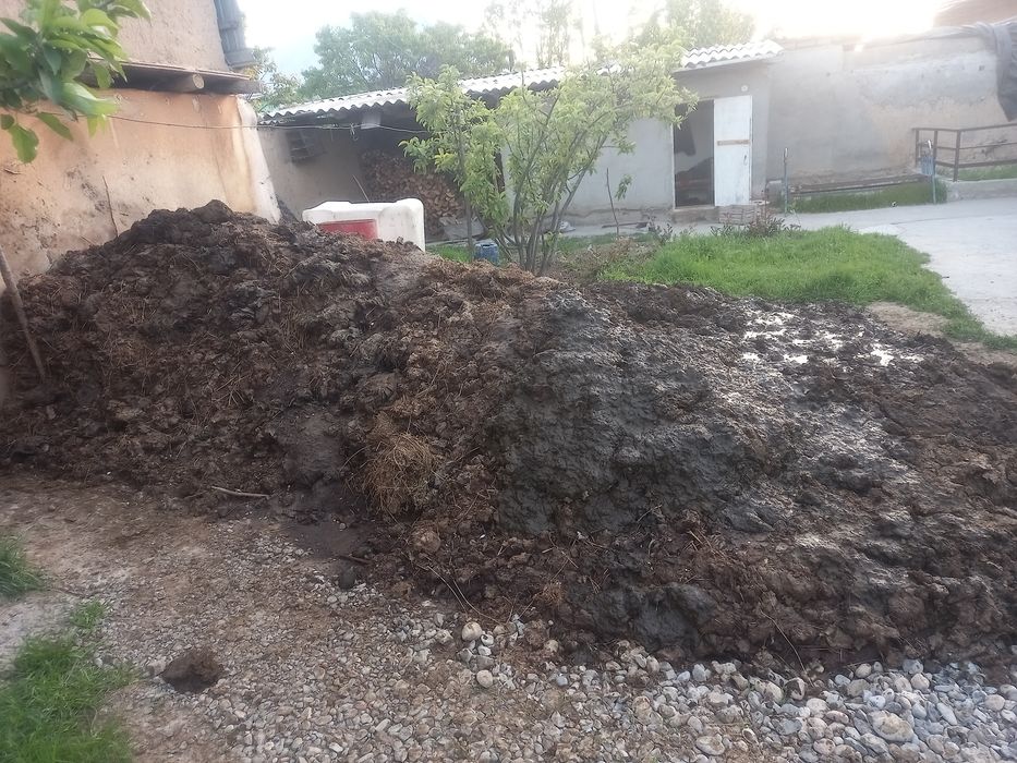 Тек Сиырдың малағы