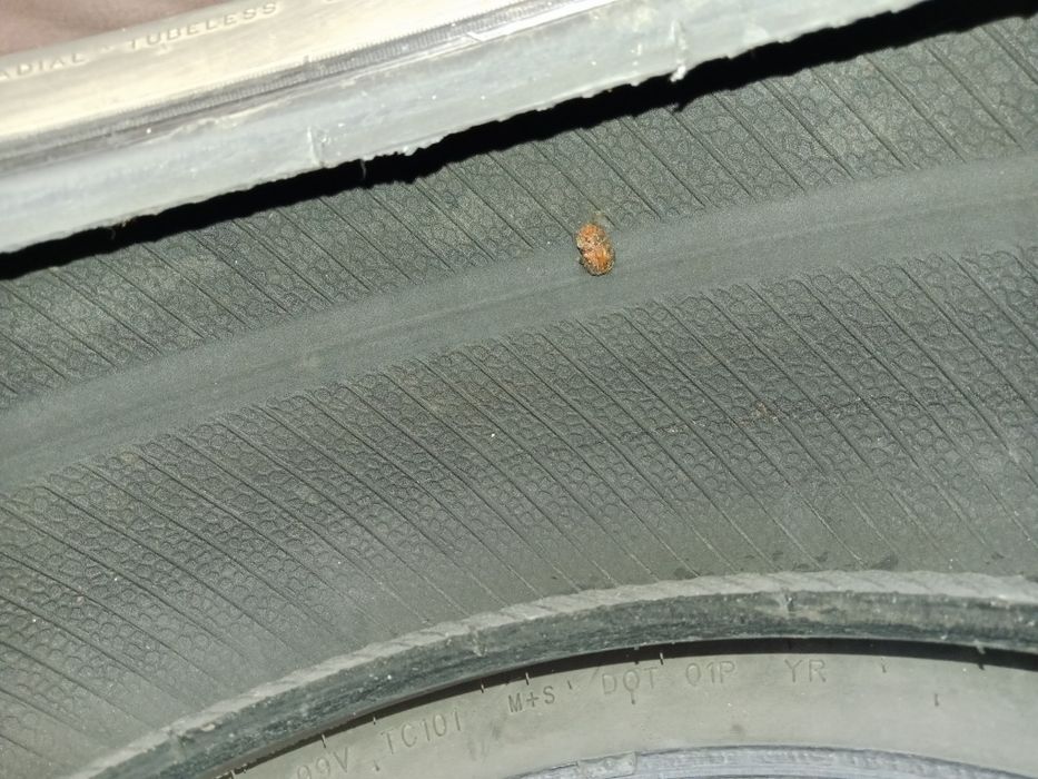 Резина летняя triangle