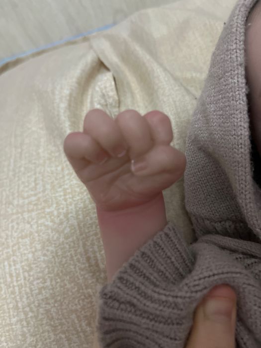 реборн от мастера