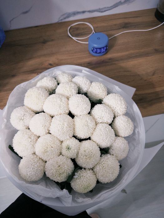 продам свежие цветы момоко