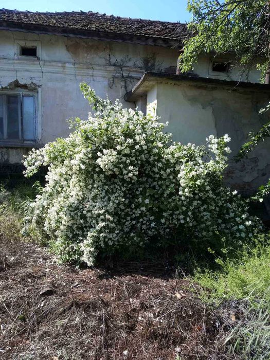 Продава се Къща в с. Хайредин, Област Враца - 88 кв.м за 55 €/кв.м - Снимка #2