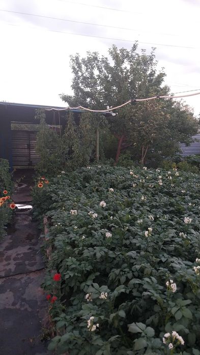 Продам дачу шахтинск