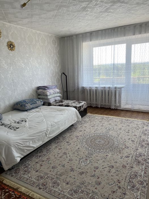 Квартира в центре Борового