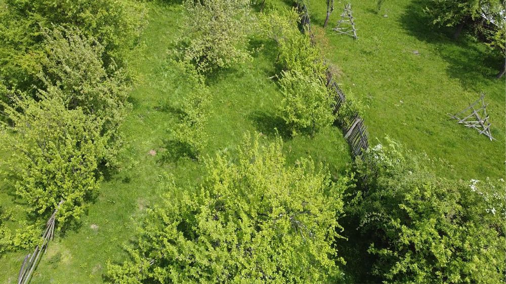 Teren de vanzare Jud. Arges, Berevoesti