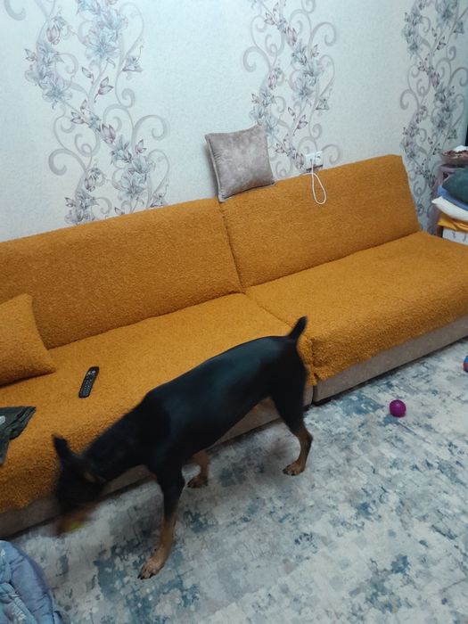 Диван трансформер