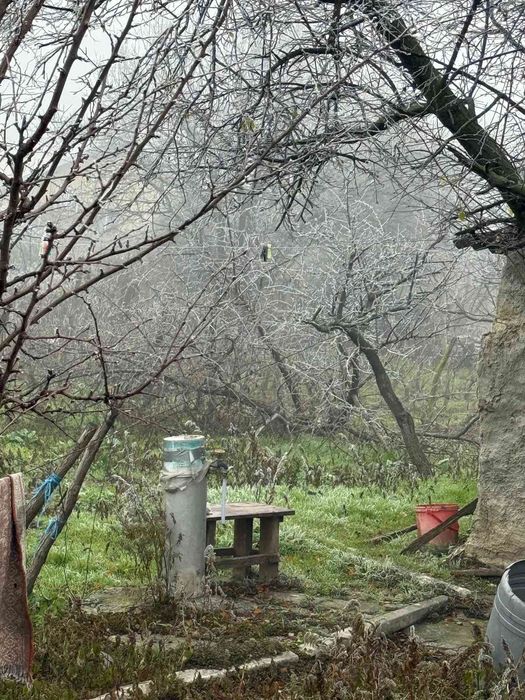 Casa bătrâneasca / teren 1400m