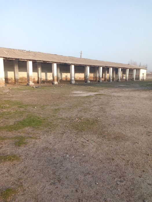 Kochmas milk 70 sotix / Недвижимость участок 70 соток