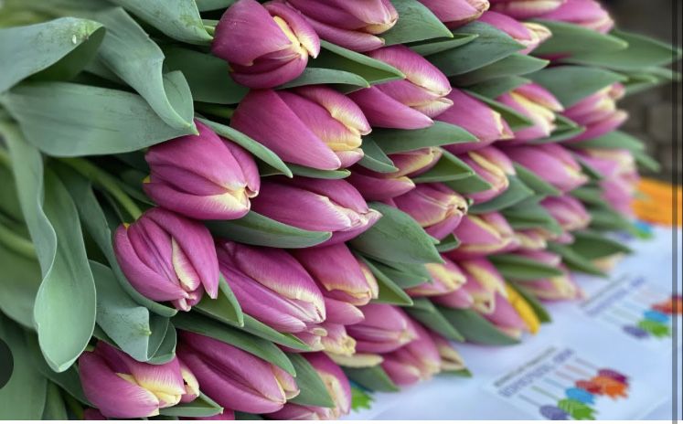 Тюльпаны на 8 марта