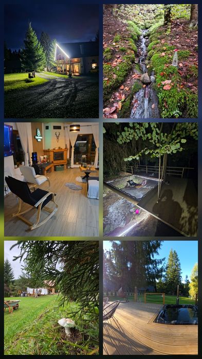 Cazare (CABANA NATURA TOPLIȚA) lângă pârtia de schi 900m de bază