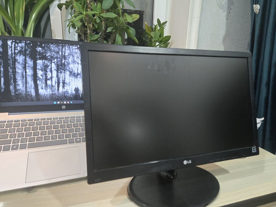 Широкоформатный монитор 18.5" LG 19M38A-B (LED)
