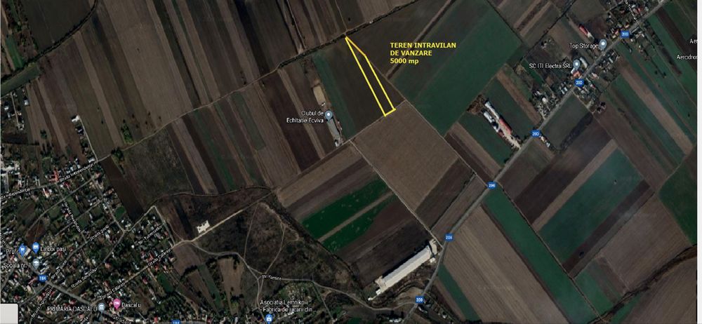 Vand teren intravilan 5000 mp comuna Dascalu, ocazie
