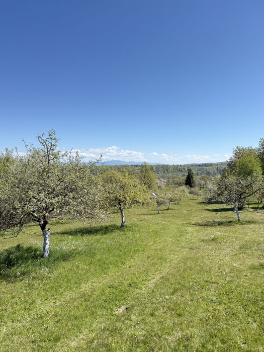 Teren intabulat de vanzare – satul Breb, Maramures
