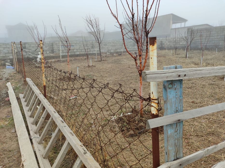 20 шт. қазығымен