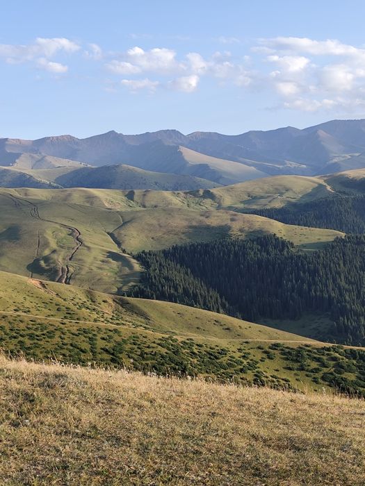 Туры Выезд на природу