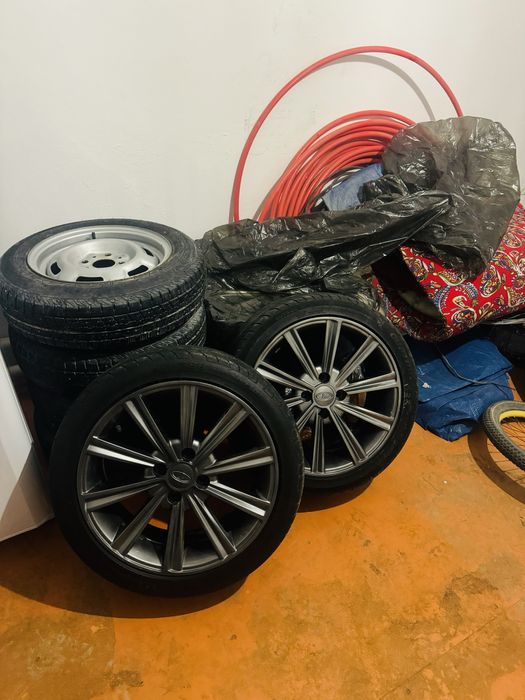 Камрики торус атика