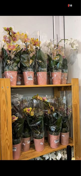 Продам действующий бизнес