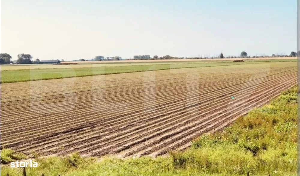 Teren arabil de vanzare, 30.000 mp - Bethausen