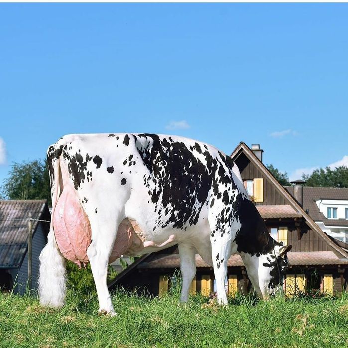 Chet-eldan mol olib kelamiz