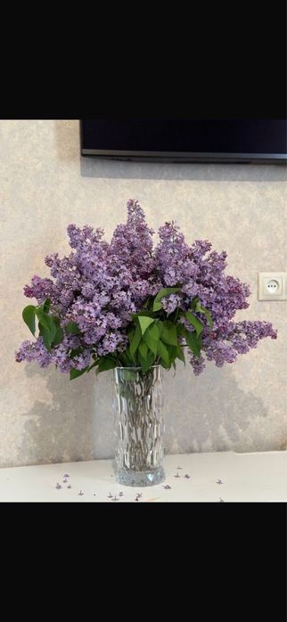 Сирень букеты свежие